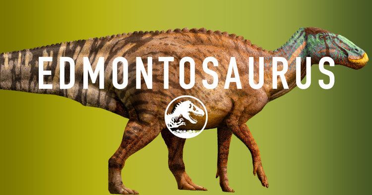 Edmontosaurus Edmontosaurus