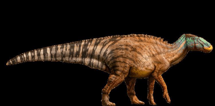 Edmontosaurus Edmontosaurus Facts and Pictures