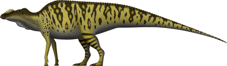 Edmontosaurus annectens Edmontosaurus annectens by SpinoInWonderland on DeviantArt