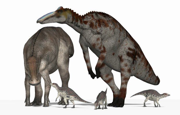 Edmontosaurus annectens Anatotitan aka Edmontosaurus annectens by PaleoGuy on DeviantArt