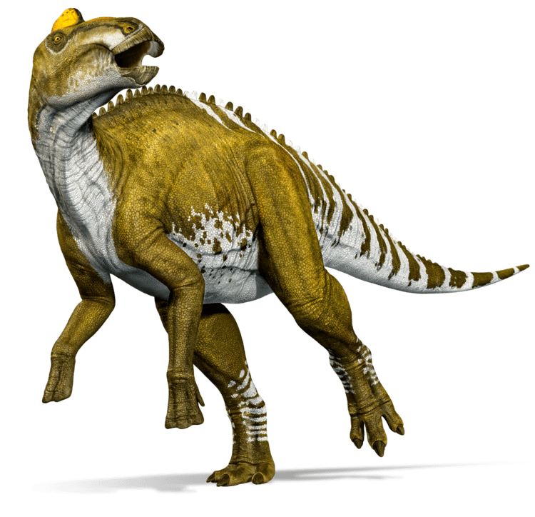 Edmontosaurus rescloudinarycomdkfindoutimageuploadq80w