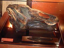 Edmontosaurus regalis httpsuploadwikimediaorgwikipediacommonsthu