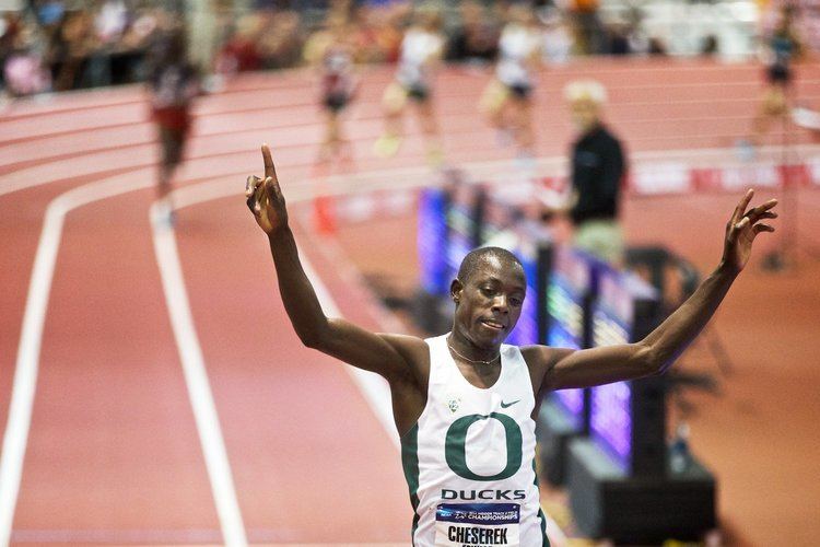 Edward Cheserek The Oregon men barge into the title picture at the NCAA