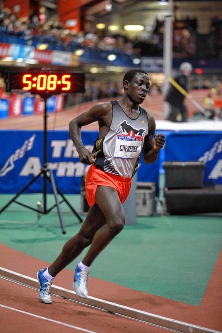 Edward Cheserek Kenyan runner39s arrival is worldclass feat NY Daily News