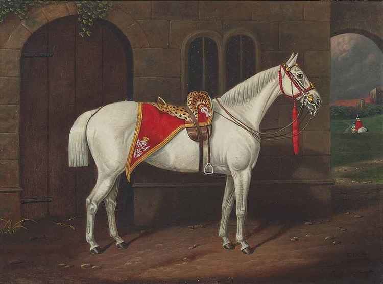 Edward Corbet Edward Corbet 18151890 A grey charger with a scarlet and