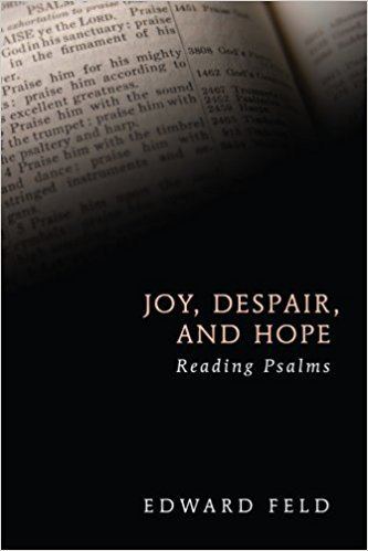 Edward Feld Joy Despair and Hope Reading Psalms Edward Feld 9781620321744