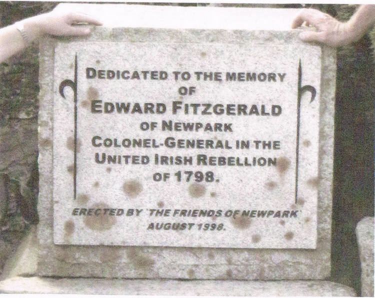 Edward Fitzgerald (insurgent)