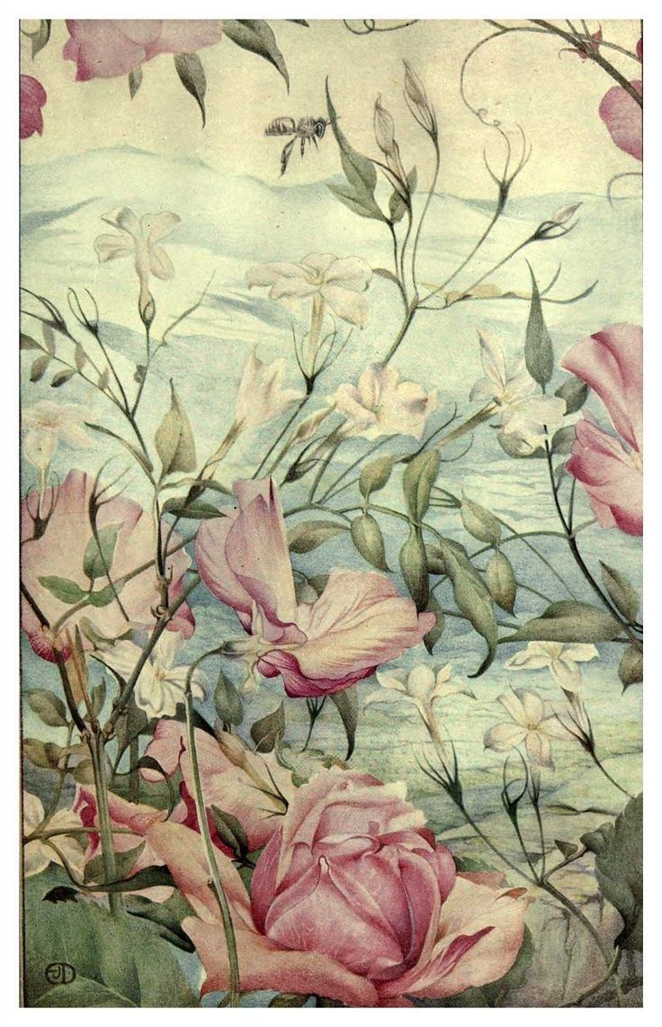 Edward Julius Detmold News of spring and other nature studies Jasmines 1917