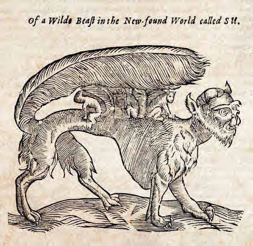 Edward Topsell The History of Fourfooted Beasts and Serpents 1658