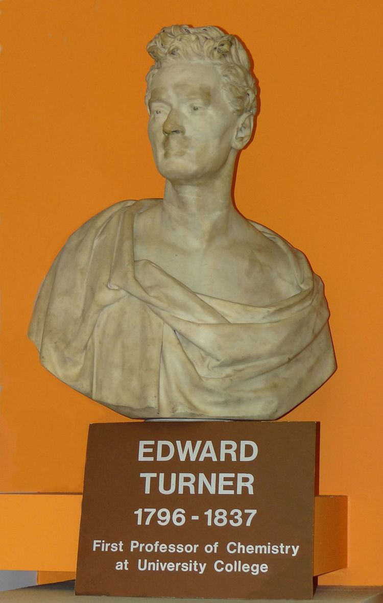 Edward Turner (chemist)
