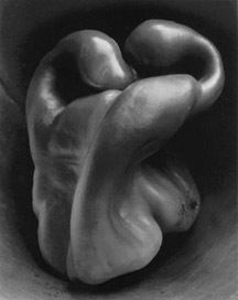 Edward Weston Edward Weston Wikipedia the free encyclopedia