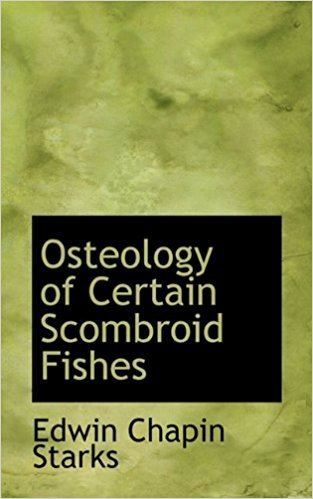Edwin Chapin Starks Osteology of Certain Scombroid Fishes Edwin Chapin Starks