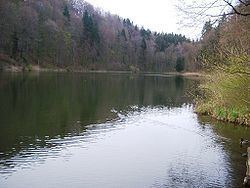 Egelsee (Aargau) httpsuploadwikimediaorgwikipediacommonsthu