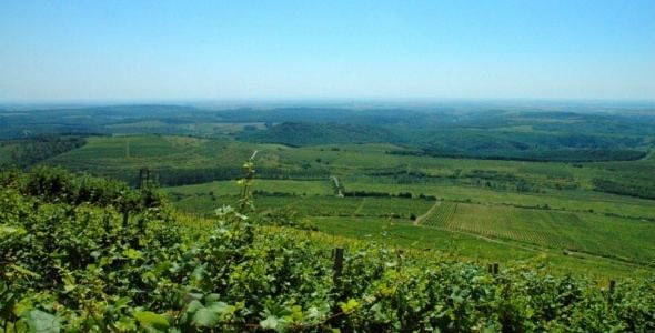 Eger wine region Eger Wine Region