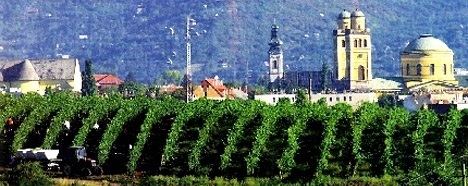 Eger wine region Eger A Wine Region To Rival The Very Best
