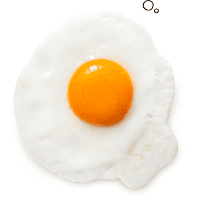 Egg as food wwwincredibleeggorgwpcontentthemesincredible