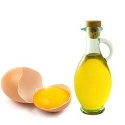 Egg oil https2imimgcomdata2MCNSMY4473037eggoil