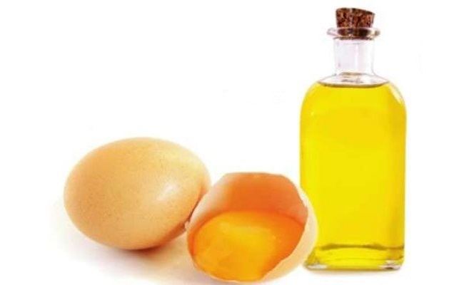 Egg oil How to Get Rid of Dandruff 20 Simple Natural Tips Listovative