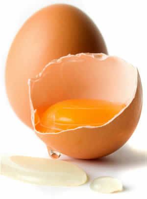 Egg oil Positive Health Online Article Egg Oil for Hair Care