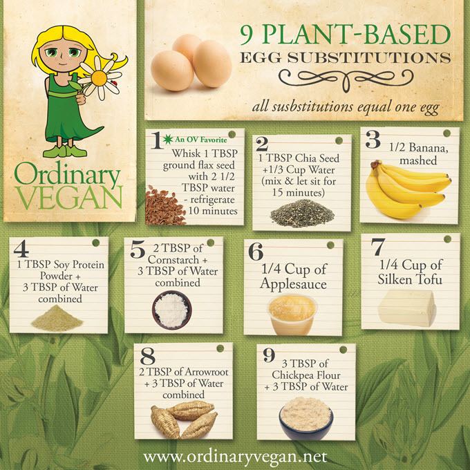Egg substitutes Top 9 PlantBased Egg Substitutes For A Healthy Diet