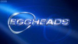 Eggheads (TV series) Eggheads TV series Wikipedia