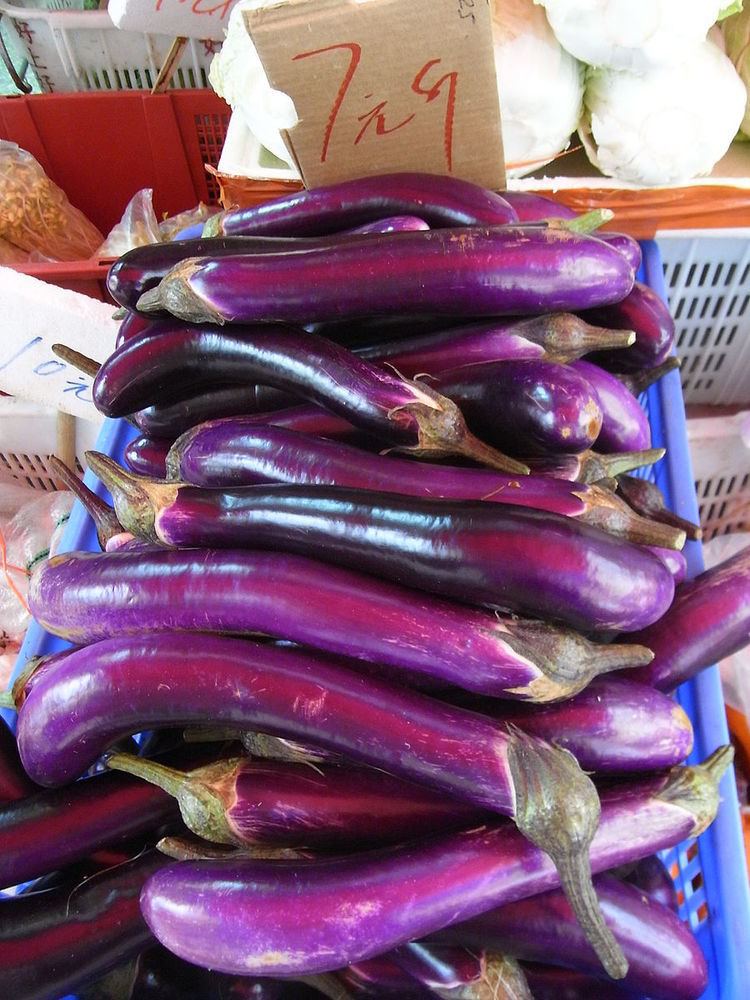 Eggplant production in China