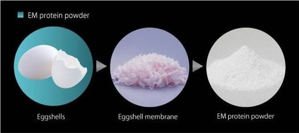 Eggshell membrane eggshell membrane in tamilnadu pondichery
