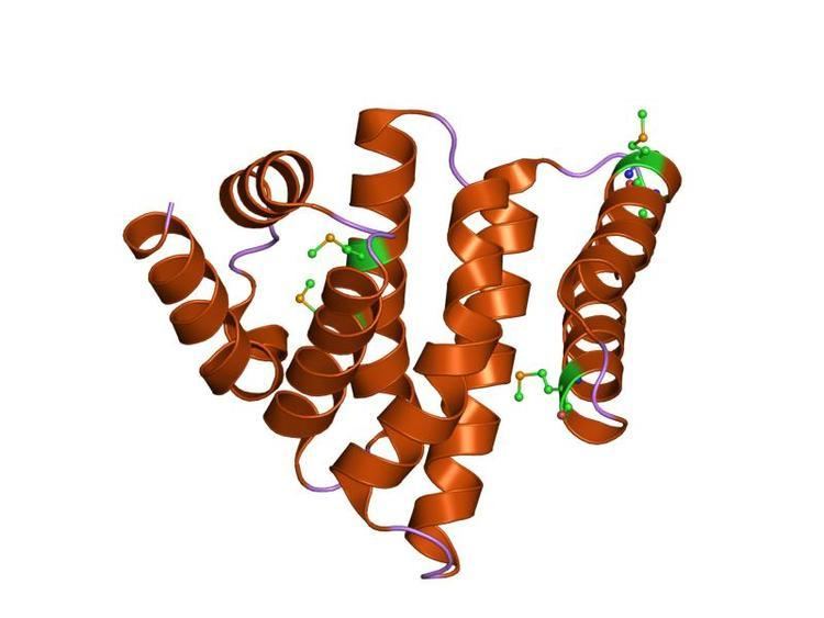 EIF-W2 protein domain