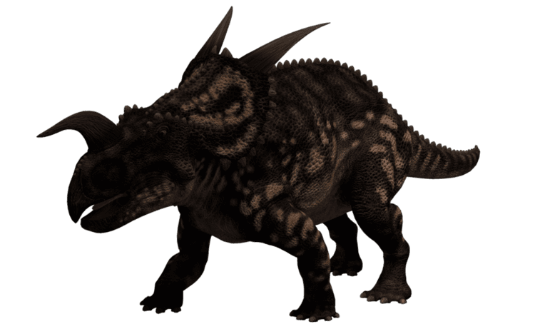 Einiosaurus Einiosaurus 1 by wolverine041269 on DeviantArt