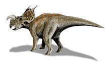 Einiosaurus httpsuploadwikimediaorgwikipediacommonsthu