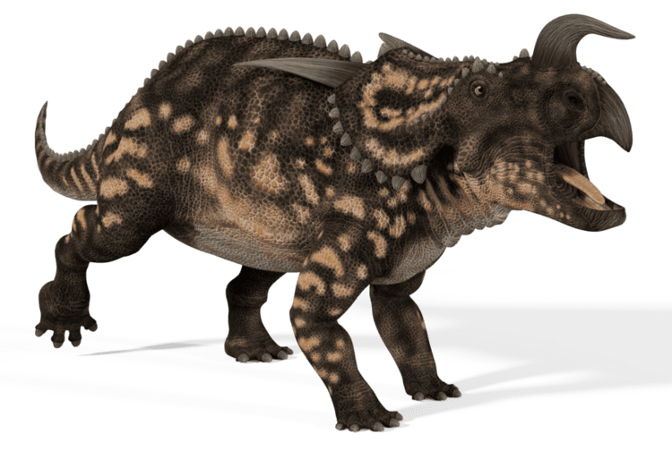 Einiosaurus einiosaurus DeviantArt