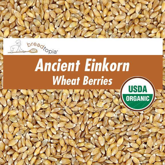 Einkorn wheat Organic Einkorn Wheat Berries Breadtopia