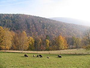 Eisenstein (Ore Mountains) httpsuploadwikimediaorgwikipediacommonsthu