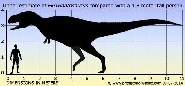 Ekrixinatosaurus Ekrixinatosaurus