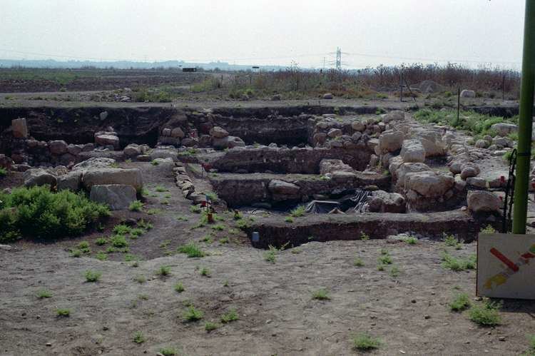 Ekron Photos of the Ancient Near East Emphasizing Israel Israel Trip