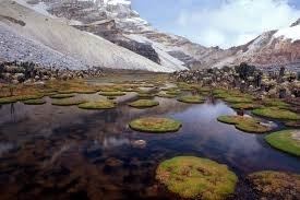 El Cocuy National Park Colombian Dude Best Colombian Travel Agency