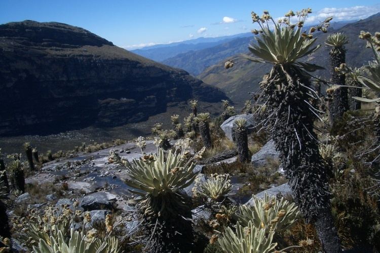 El Cocuy National Park httpsbogotaeatsanddrinksfileswordpresscom20