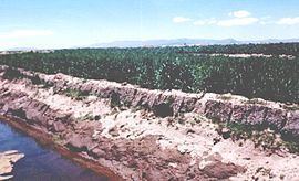 El Collao Province httpsuploadwikimediaorgwikipediacommonsthu