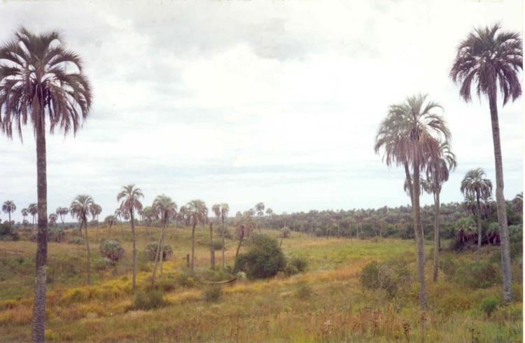 El Palmar National Park