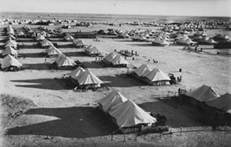 El Shatt El Shatt A Dalmatian Refugee Camp in the Sinai Desert in Egypt in 1944