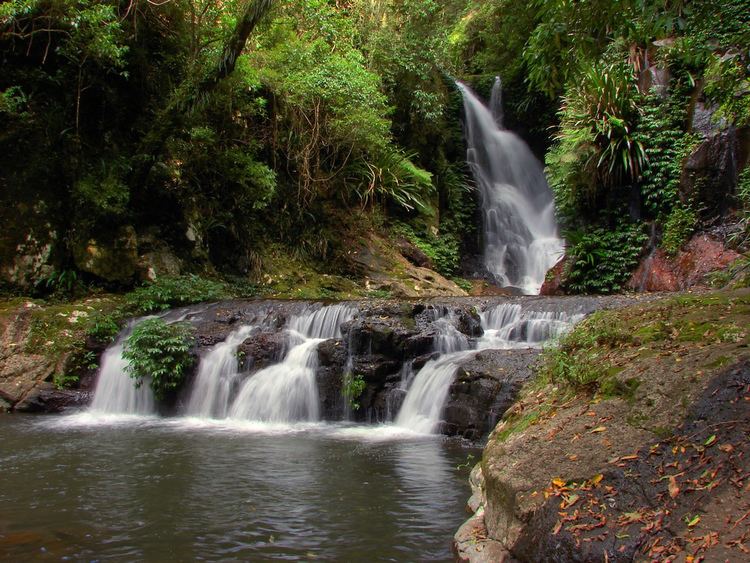 Elabana Falls Elabana Falls Australian rainforest One of the most photo Flickr