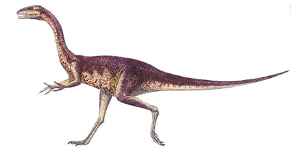 Elaphrosaurus Elaphrosaurus bambergi and Rhamphorynchus Dinosaurs