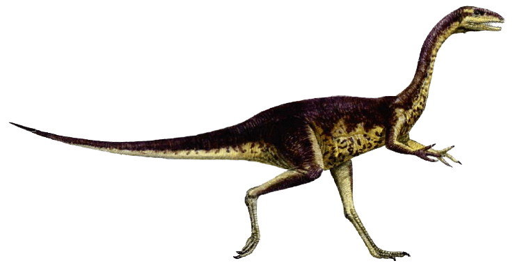 Elaphrosaurus Elaphrosaurus Dinosaur facts pictures Elaphrosaurus habitat