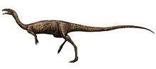 Elaphrosaurus httpsuploadwikimediaorgwikipediacommonsthu