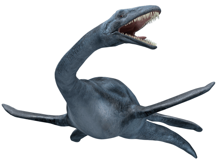 Elasmosaurus orig13deviantartnet254bf2007082d5elasmosa