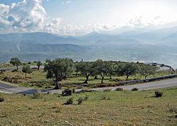 Elbasan County httpsuploadwikimediaorgwikipediacommonsthu