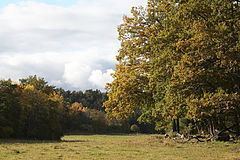 Eldgarnsö Nature Reserve httpsuploadwikimediaorgwikipediacommonsthu