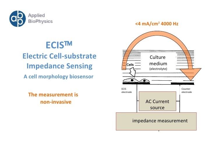 Electric cell-substrate impedance sensing Ecis Applied Biophysics