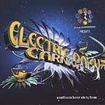 Electric Daisy Carnival (album) httpsuploadwikimediaorgwikipediaen112Ele