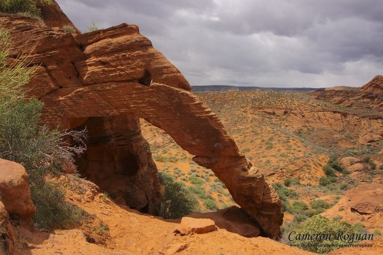 Elephant Arch Red Cliffs Desert Reserve Elephant Arch
